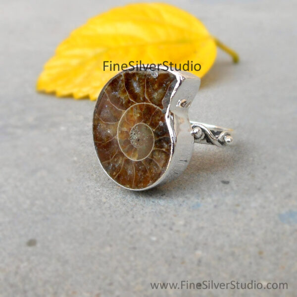 Sterling Silver Ammonite Ring Nautilus Shell Fossil